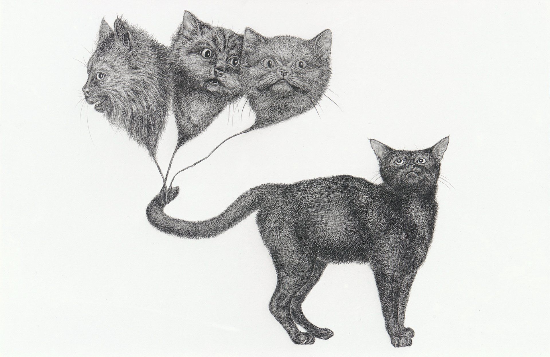 A black and white drawing of a cat holding balloons.
