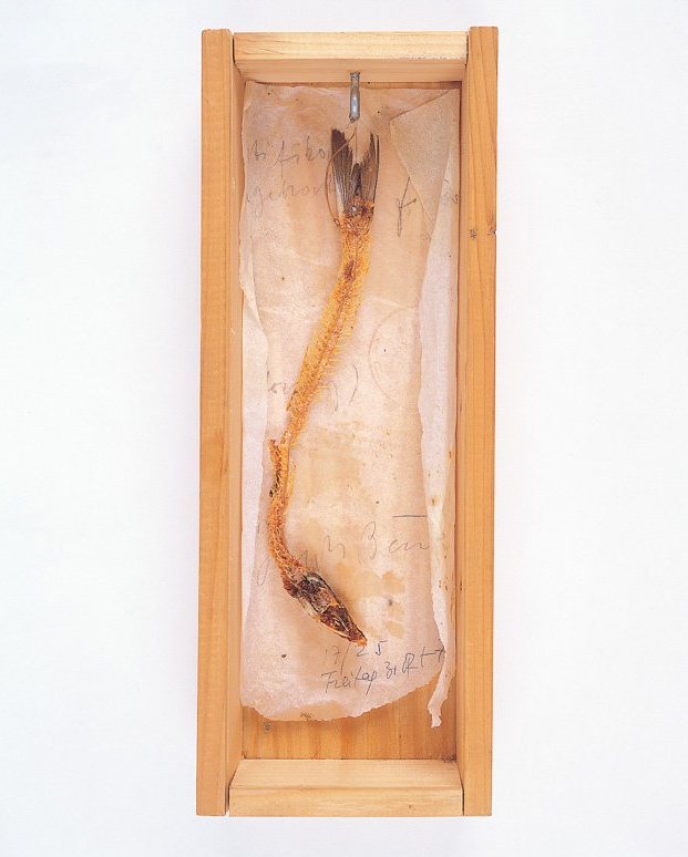 A wooden box with a snake in it.