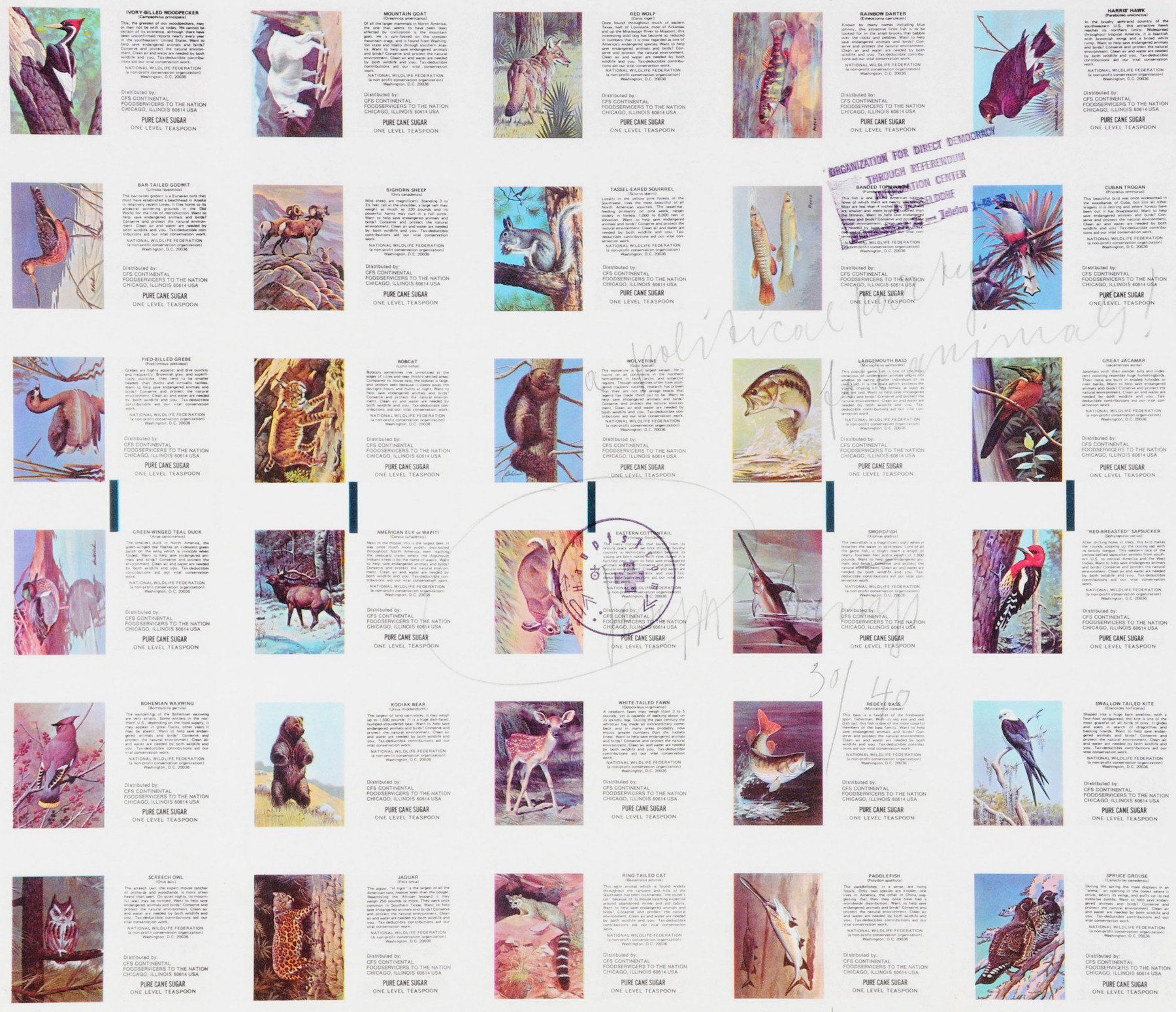 A bunch of pictures of animals on a white background