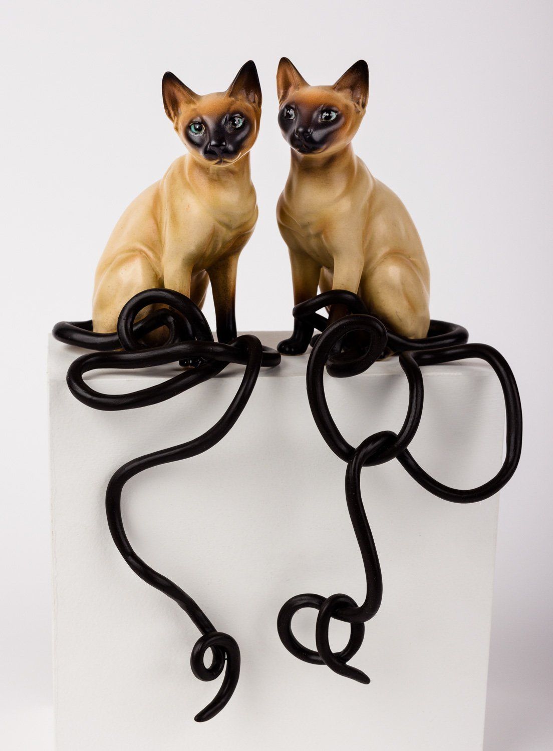 A couple of cats sitting on top of a white box
