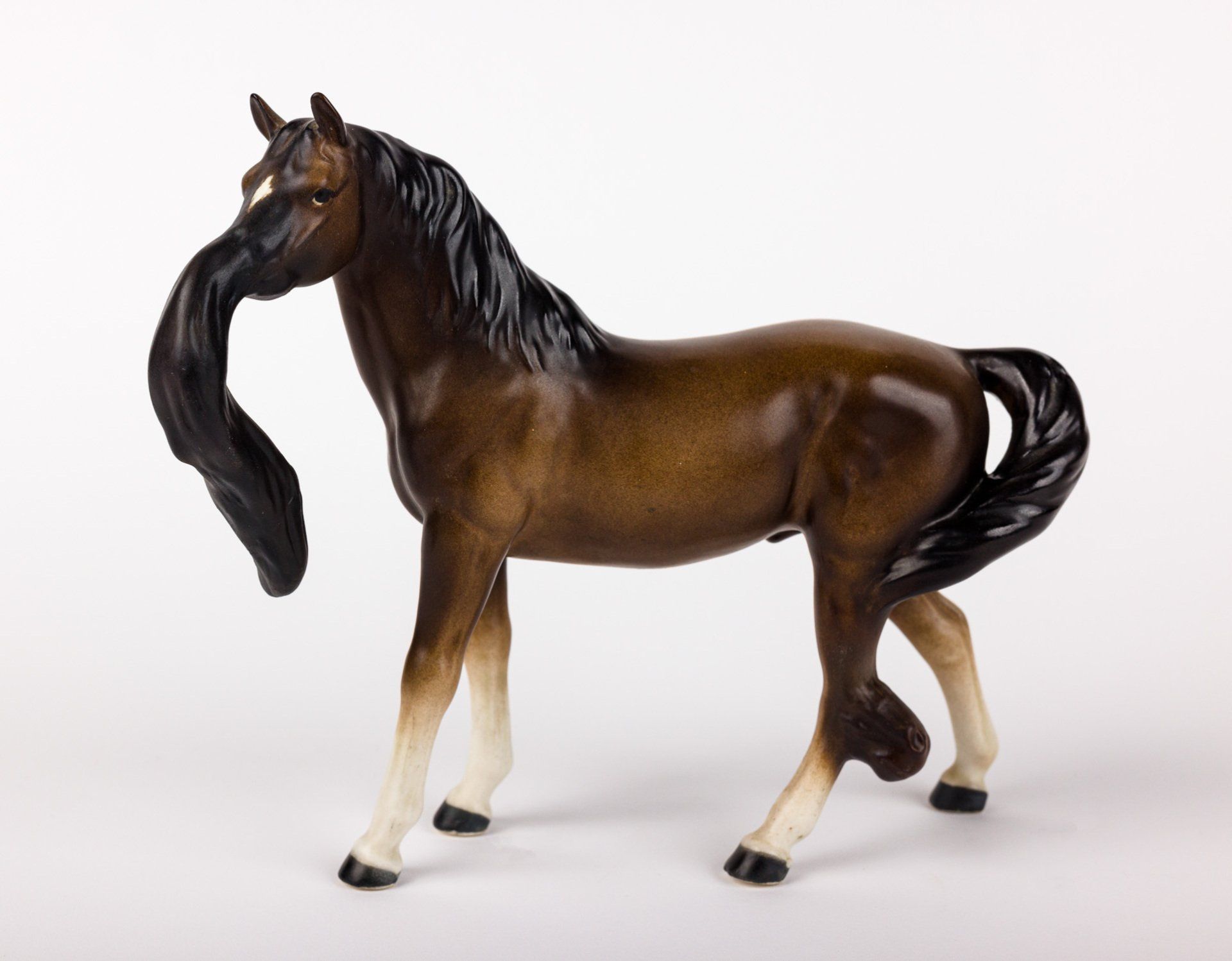A brown horse with a long mane and tail