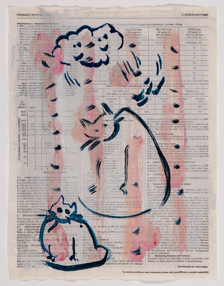 A drawing of a cat and a cloud on a piece of paper