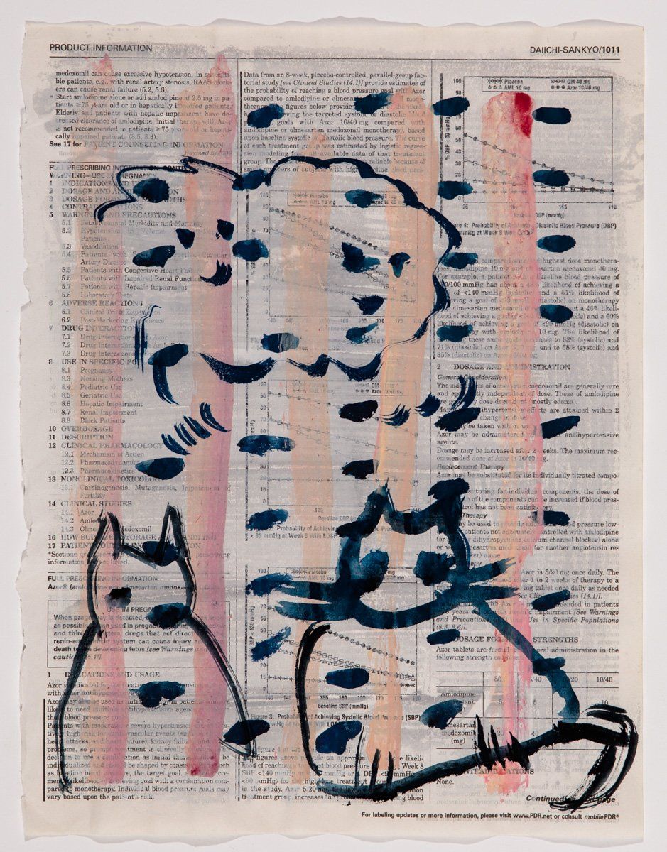 A painting of a cat on a dictionary page