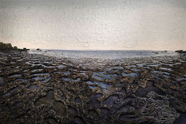 seashore with seaweed on the surface of the water.