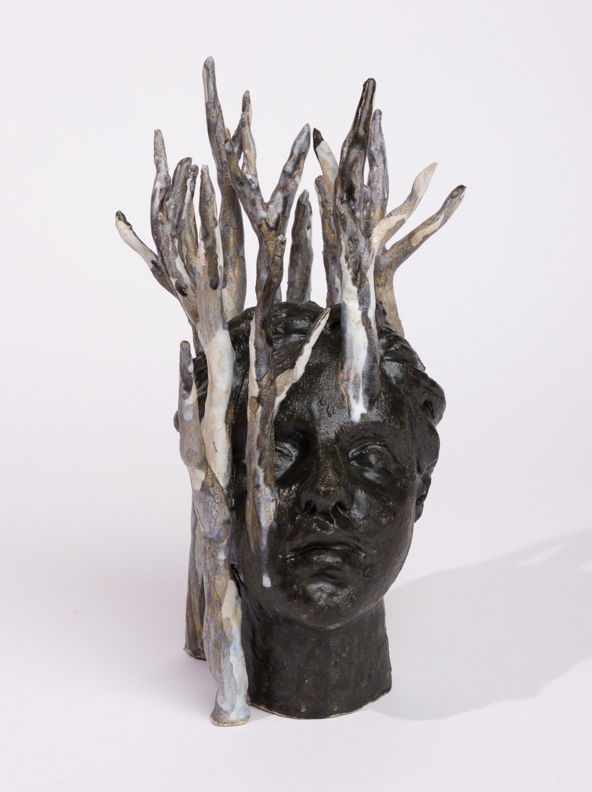 A statue of a man 's head with trees growing out of it