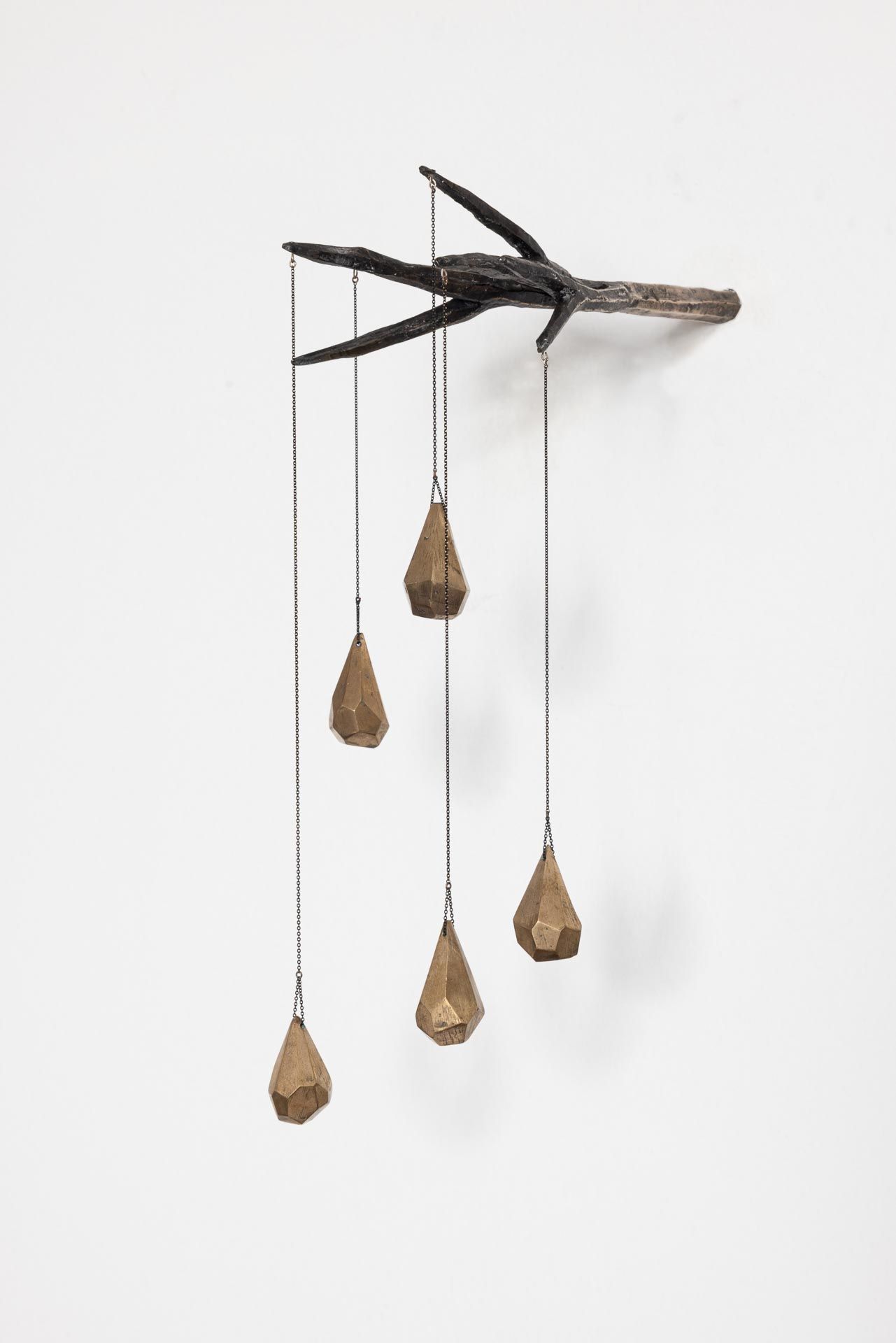 Camilla Taylor, Our Lady of the Dry Tree