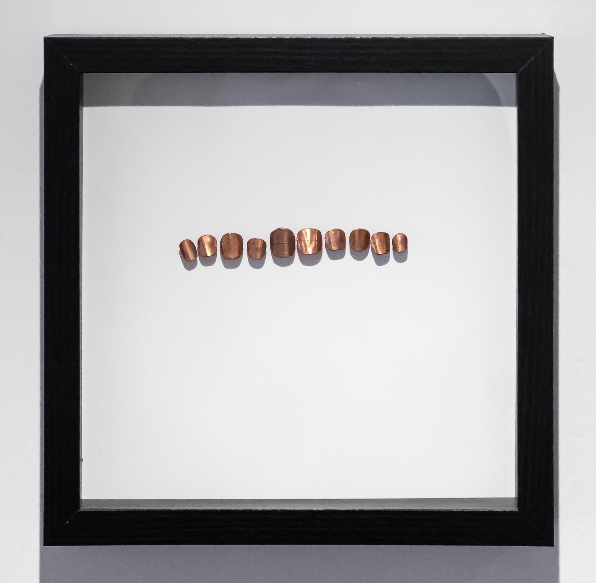 Camilla Taylor, Broken Line