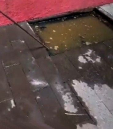  Fontanería profesional