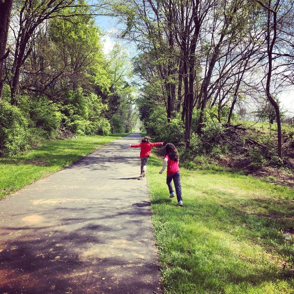 Two beagle dogs are sitting in the back of a vehicle.