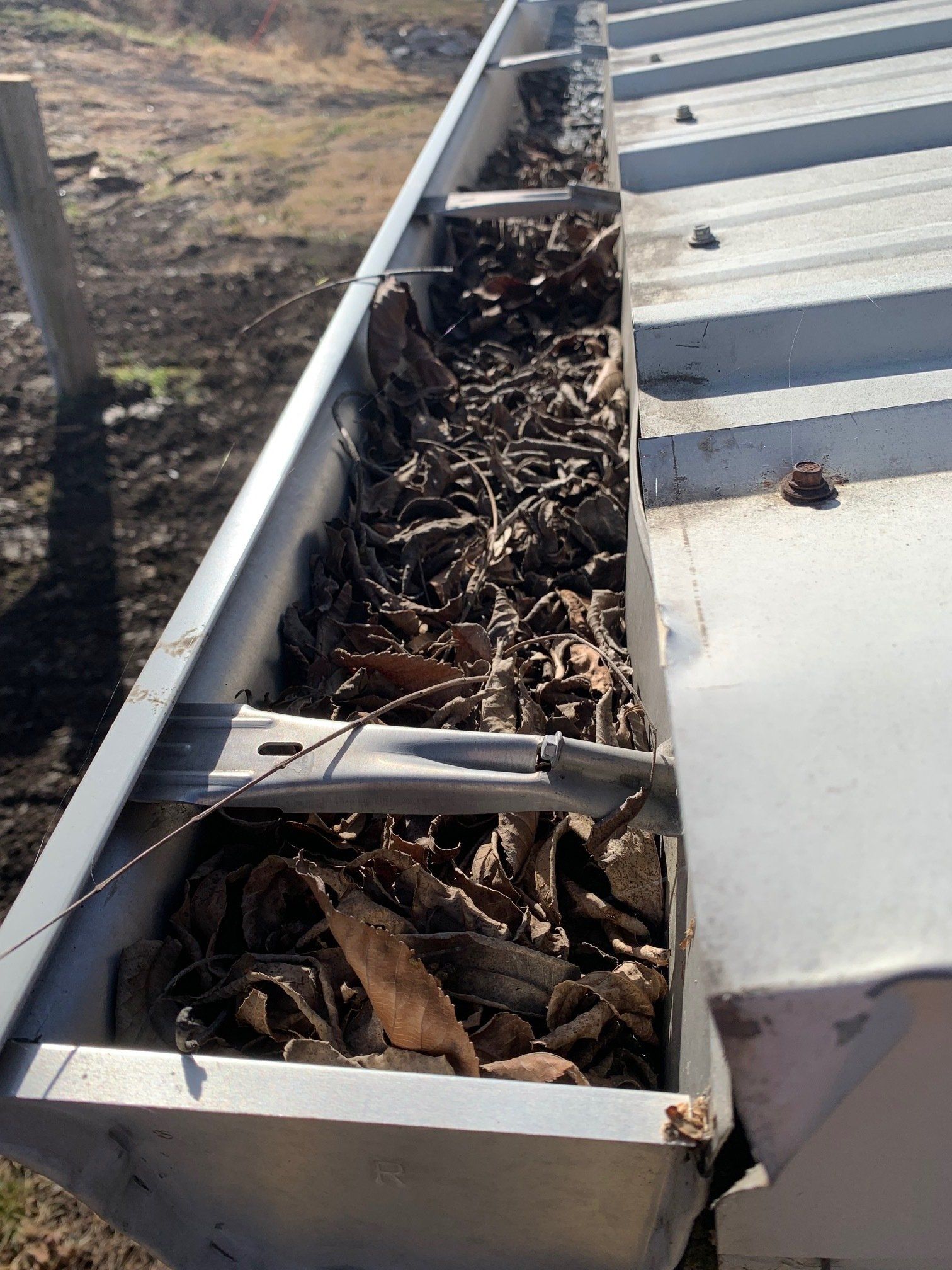 dried leaves in the gutter