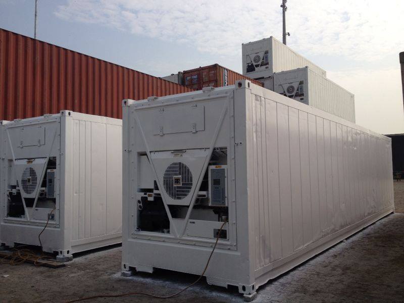 Containers Frigoríficos - MASTERLOGG BRASIL