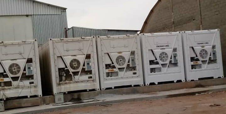 Containers Frigoríficos - MASTERLOGG BRASIL