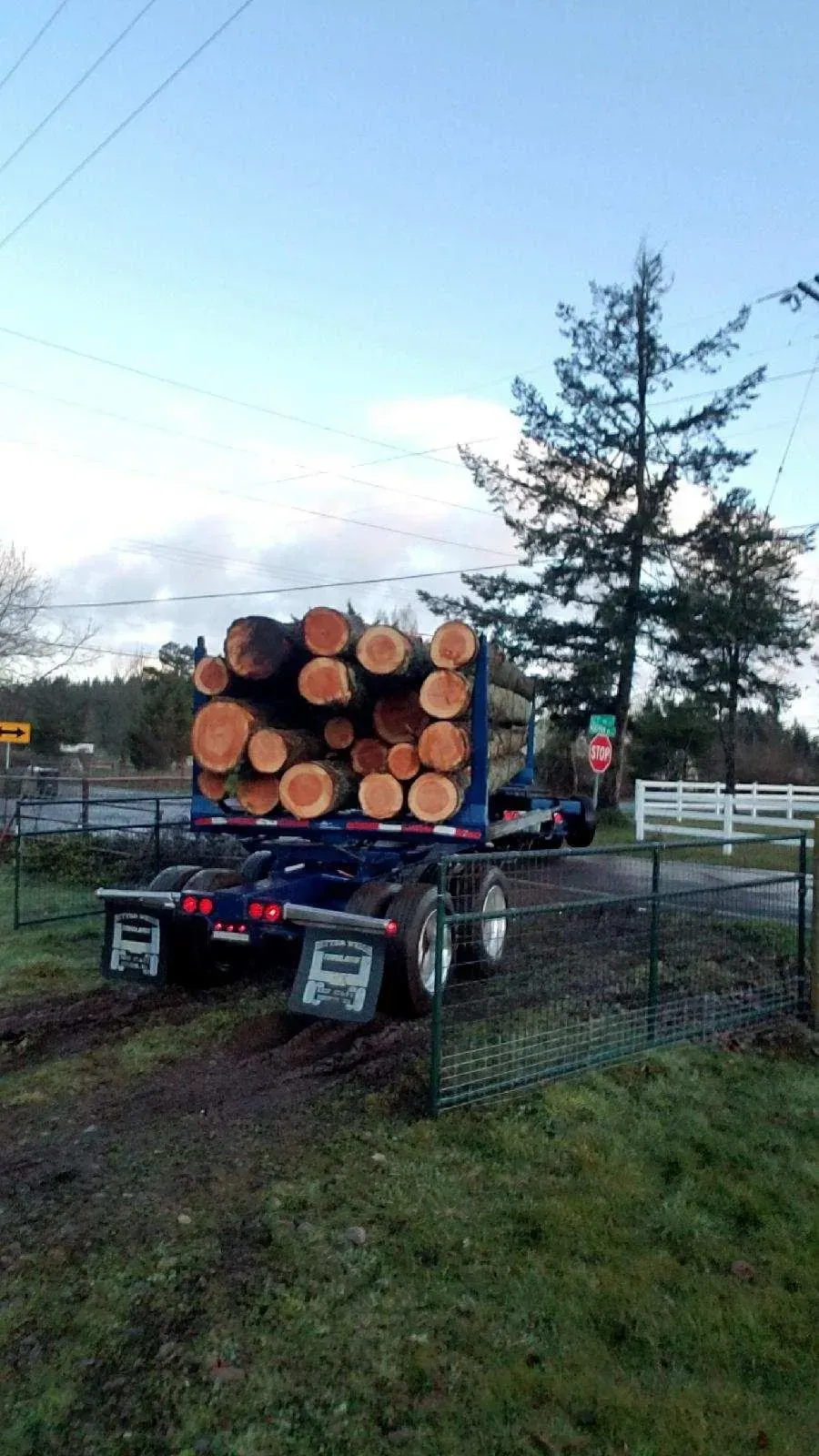 Truck hauling a load of logs on a muddy road, under a cloudy sky.