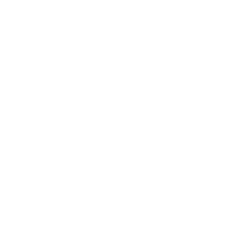 clearaudio logo