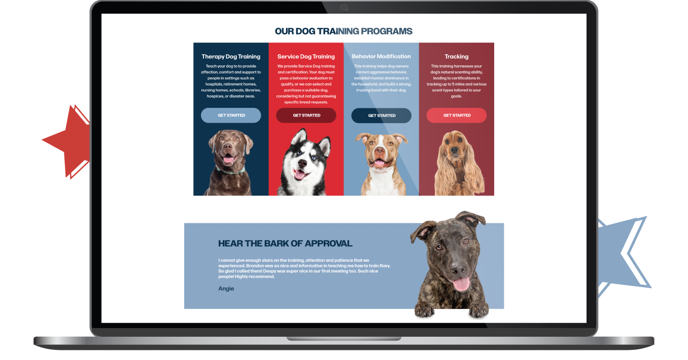 Laptop screen showing a colorful dog breed comparison chart with multiple dog photos and text panels