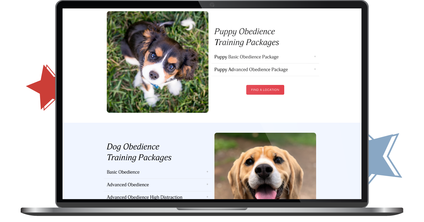 Laptop displaying a pet shelter website with dog photos and a red call-to-action button