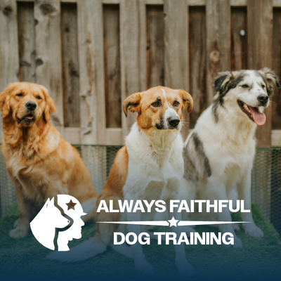 Three dogs in front of a wooden fence with “Always Faithful Dog Training” logo and text