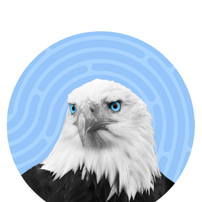 Bald eagle portrait with bright blue eyes against a light blue circular background