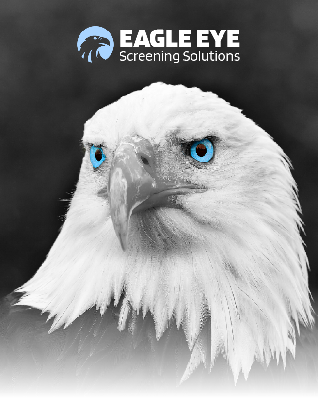White eagle head logo with bright blue eyes and “Eagle Eye Screening Solutions” text on a dark background