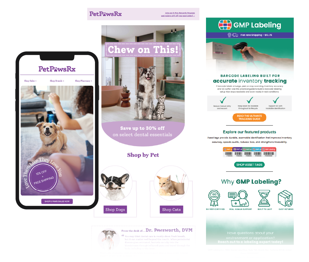 Three women in colorful blazers gesturing toward a smiling woman in a blue blazer on a white background