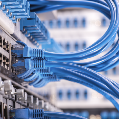 Blue network cables plugged into a server switch in a data center