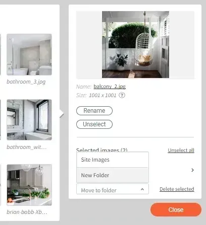 Image editing dialog with photo thumbnails and buttons to rename, unselect, move to folder, delete, and close.