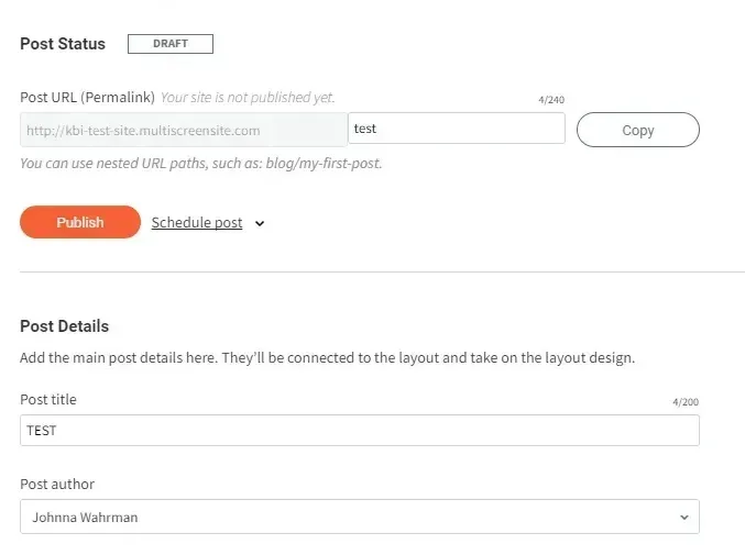 WordPress post edit screen showing Draft status, Publish button, and post details fields