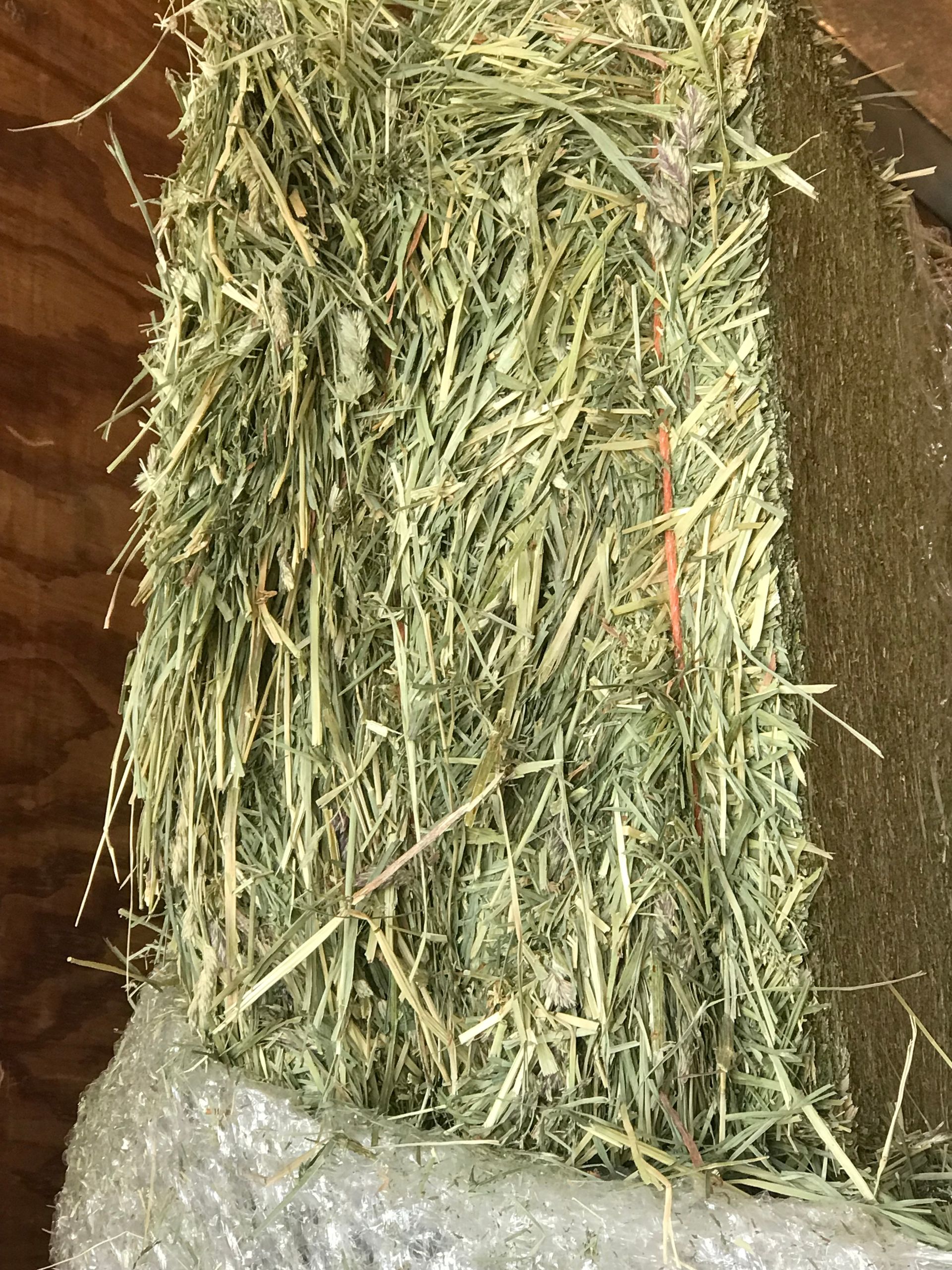 A rectangular hay bale with green and brown strands. It sits on a stone base near a wooden wall.