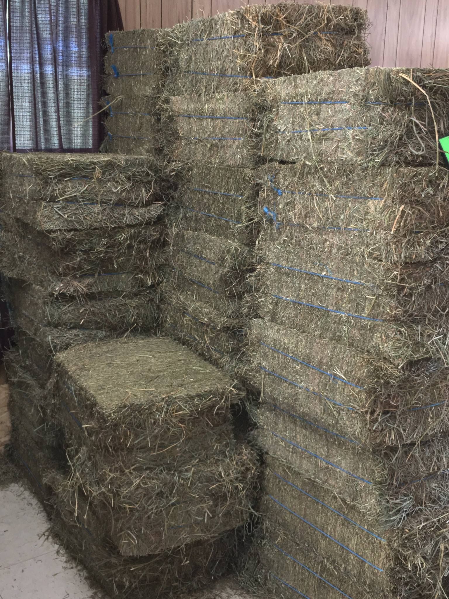 Stacks of square hay bales in a room, bound with blue twine, against a dark curtain.