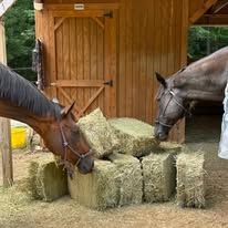 Two horses eating hay in front of a wooden barn.