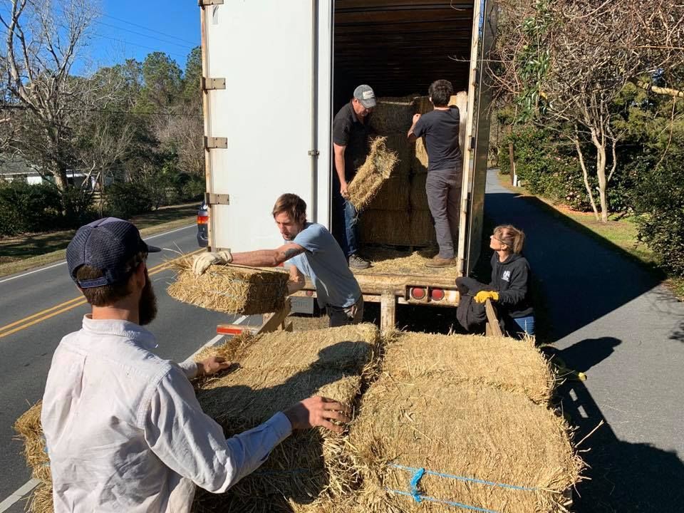 People loading hay bales from a truck, outdoors on a sunny day.