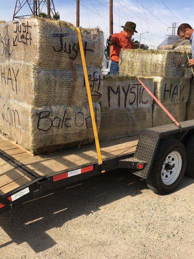 Hay bales stacked on a trailer with people, text reads 
