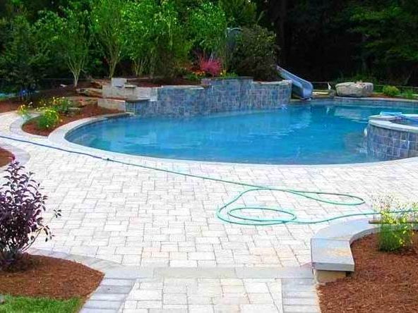 A large swimming pool surrounded by a patio and trees in a backyard.