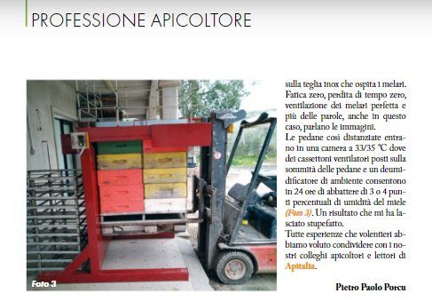 articolo giornale locale