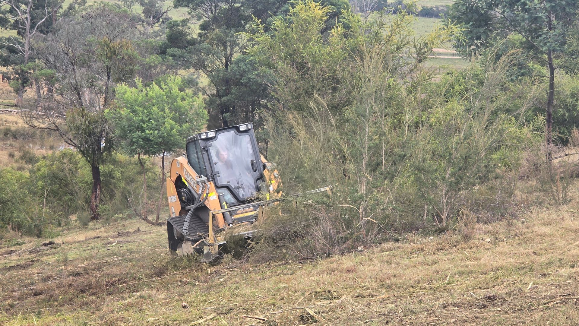 A yellow and black backhoe operating in a field, clearing brush and small trees on a hillside.