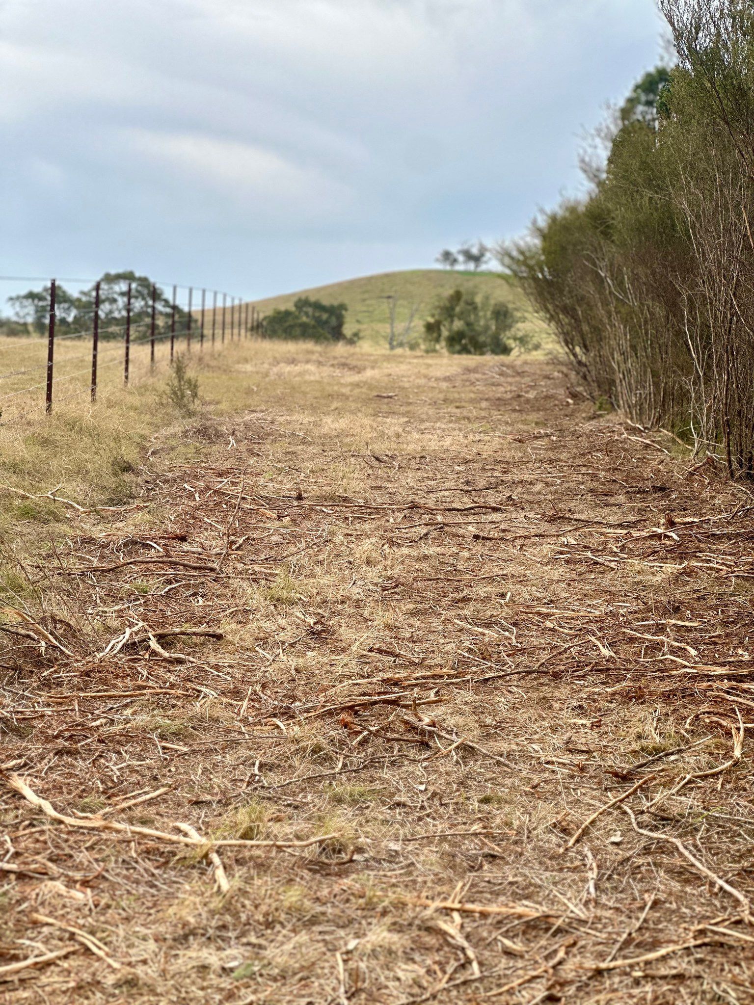 A dry, dirt path through a field. A fence lines the left side, trees are on the right. A small hill is visible in the distance.