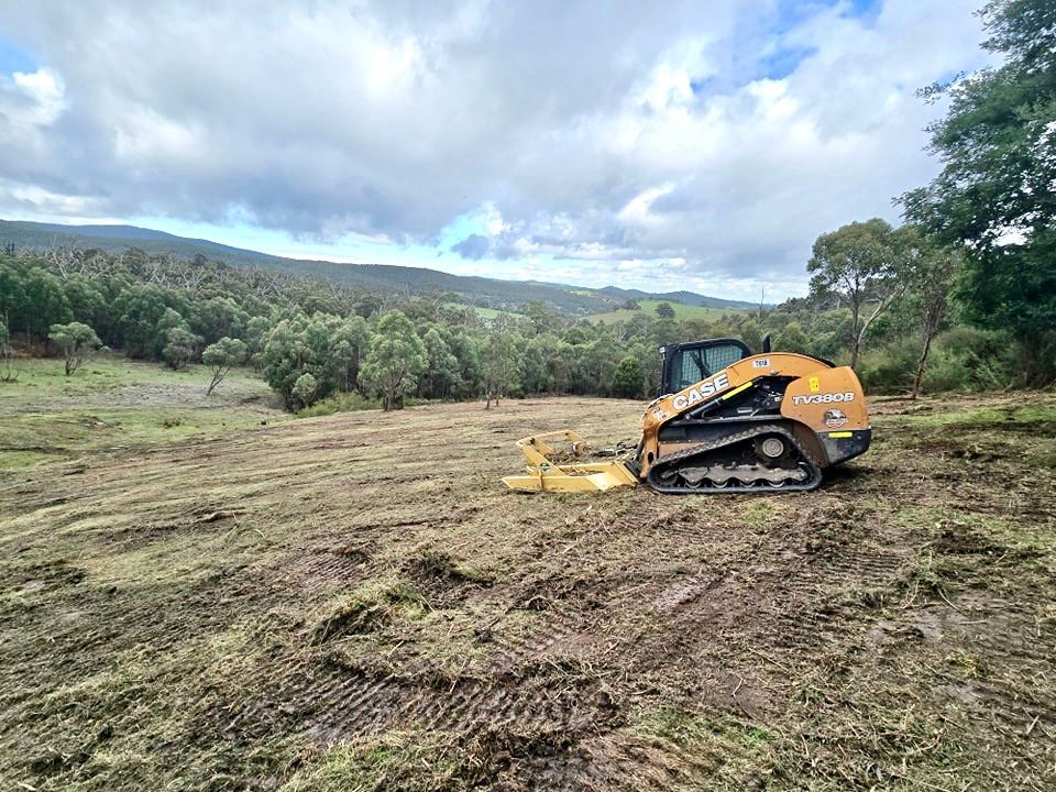 Yellow excavator clearing trees in a field under a cloudy blue sky. Yellow excavator clearing trees in a field under a cloudy blue sky.