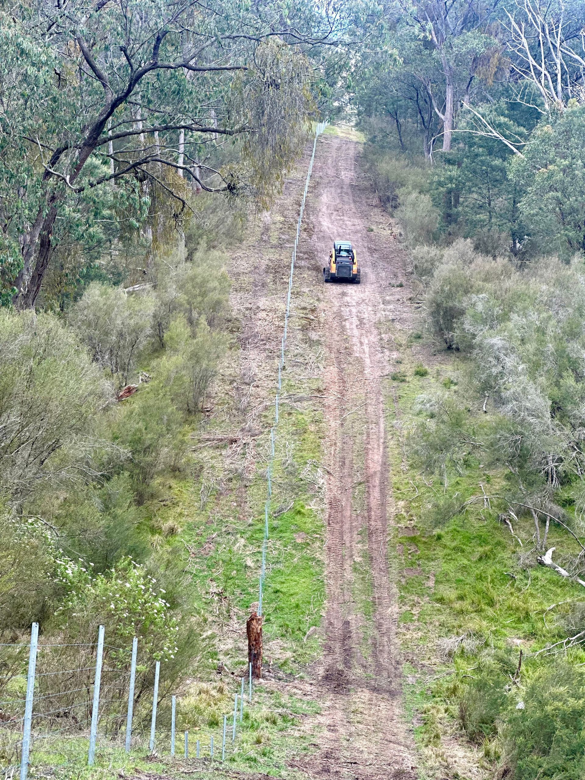 A Case skid steer mower is in a grassy field, clearing brush near a fence line. The machine is orange and black, with green vegetation. A Case skid steer mower is in a grassy field, clearing brush near a fence line. The machine is orange and black, with green vegetation.