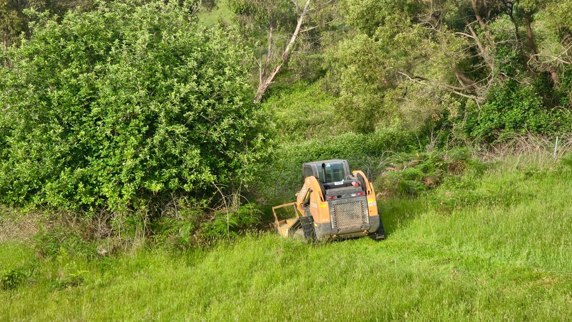 A small bulldozer on a grassy hillside near a treeline. The machine is clearing an area, trees in the background. A small bulldozer on a grassy hillside near a treeline. The machine is clearing an area, trees in the background.