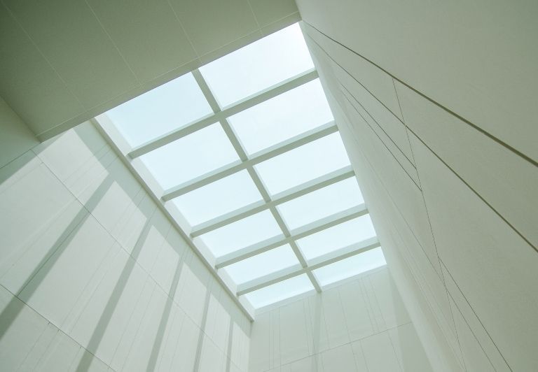 Open skylight with plant growth in a roof gutter against a gray shingle background.