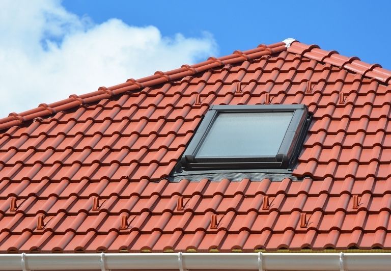 Skylight on a flat roof, with a pink object on the roof near a chimney. Trees are visible in the background.