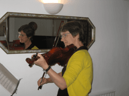 Doctors' Support Network 2016 Dr Kathy Grant and violin mental health