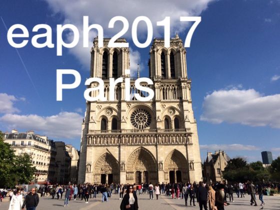 Doctors' Support Network 2017 EAPH Paris mental health
