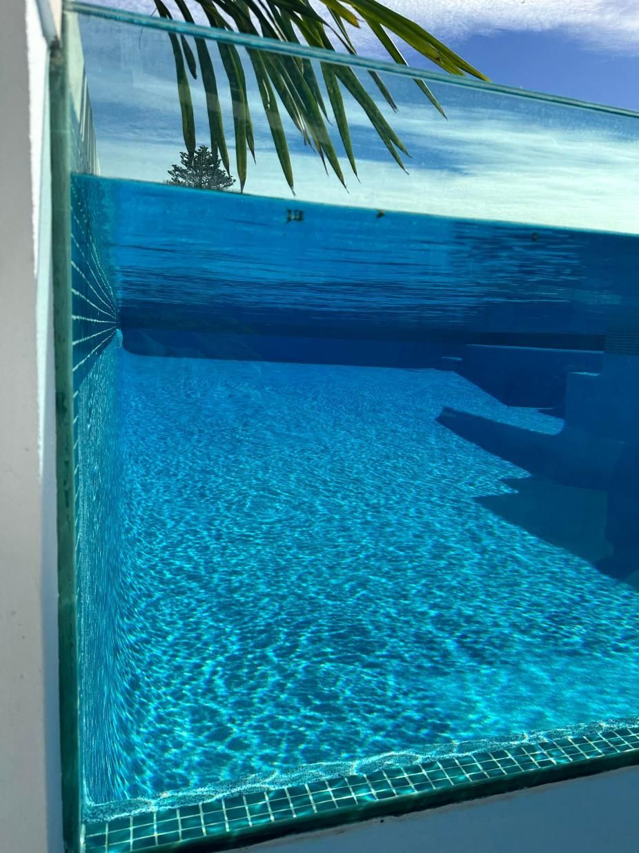 A Swimming Pool With A Clear Glass Wall And A Palm Tree In The Background — Glass Pool Windows Australia In Bundaberg, QLD