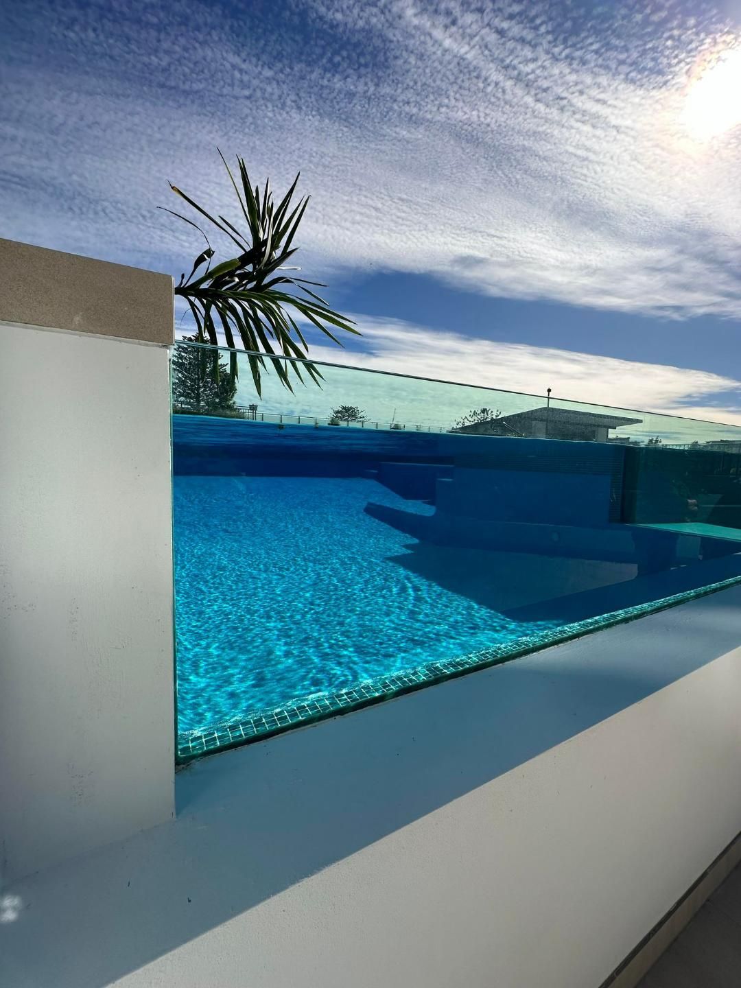 A Swimming Pool With A Clear Glass Fence And A Palm Tree In The Background — Glass Pool Windows Australia In Gold Coast, QLD