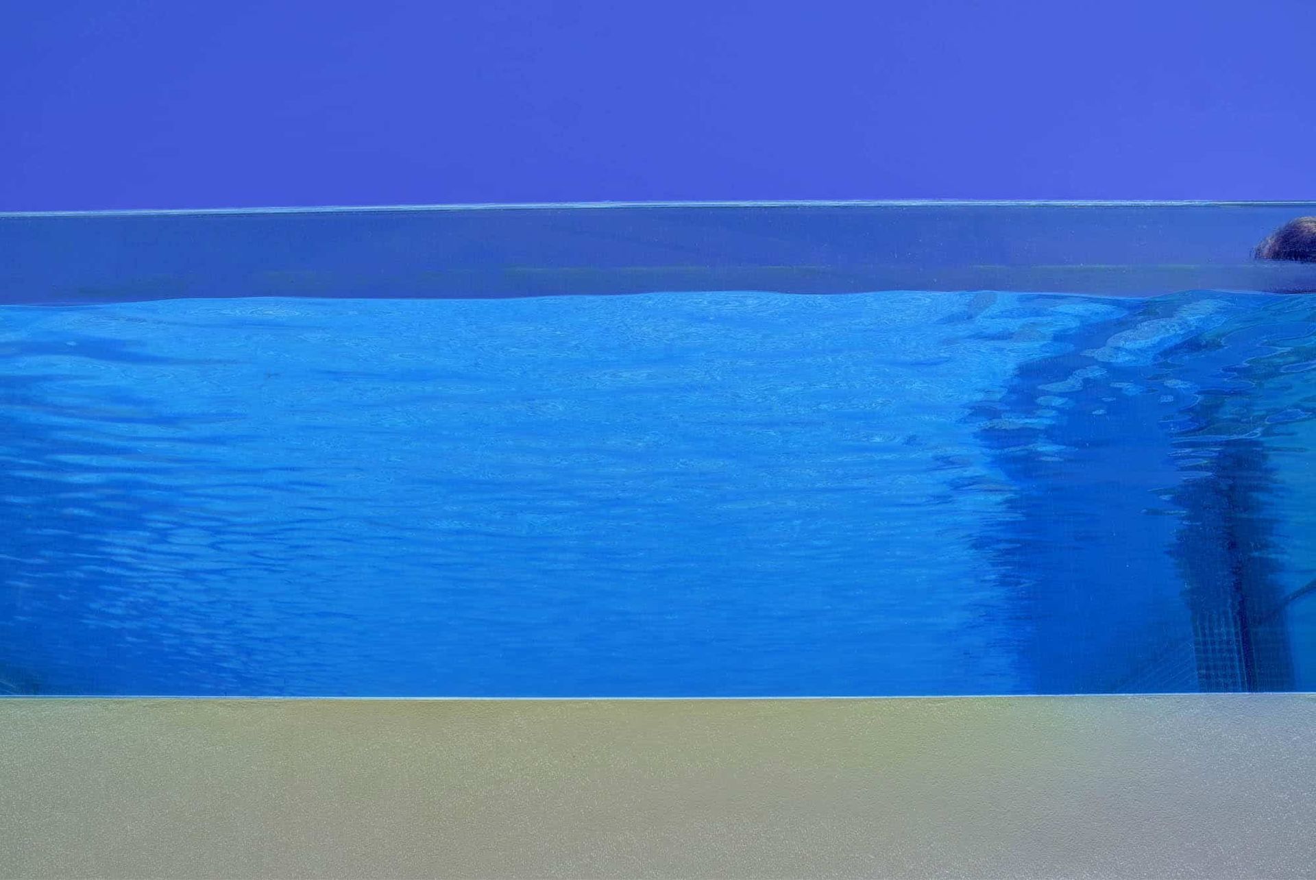 Pool With Clear Blue Water — Glass Pool Windows Australia In Palm Beach, NSW