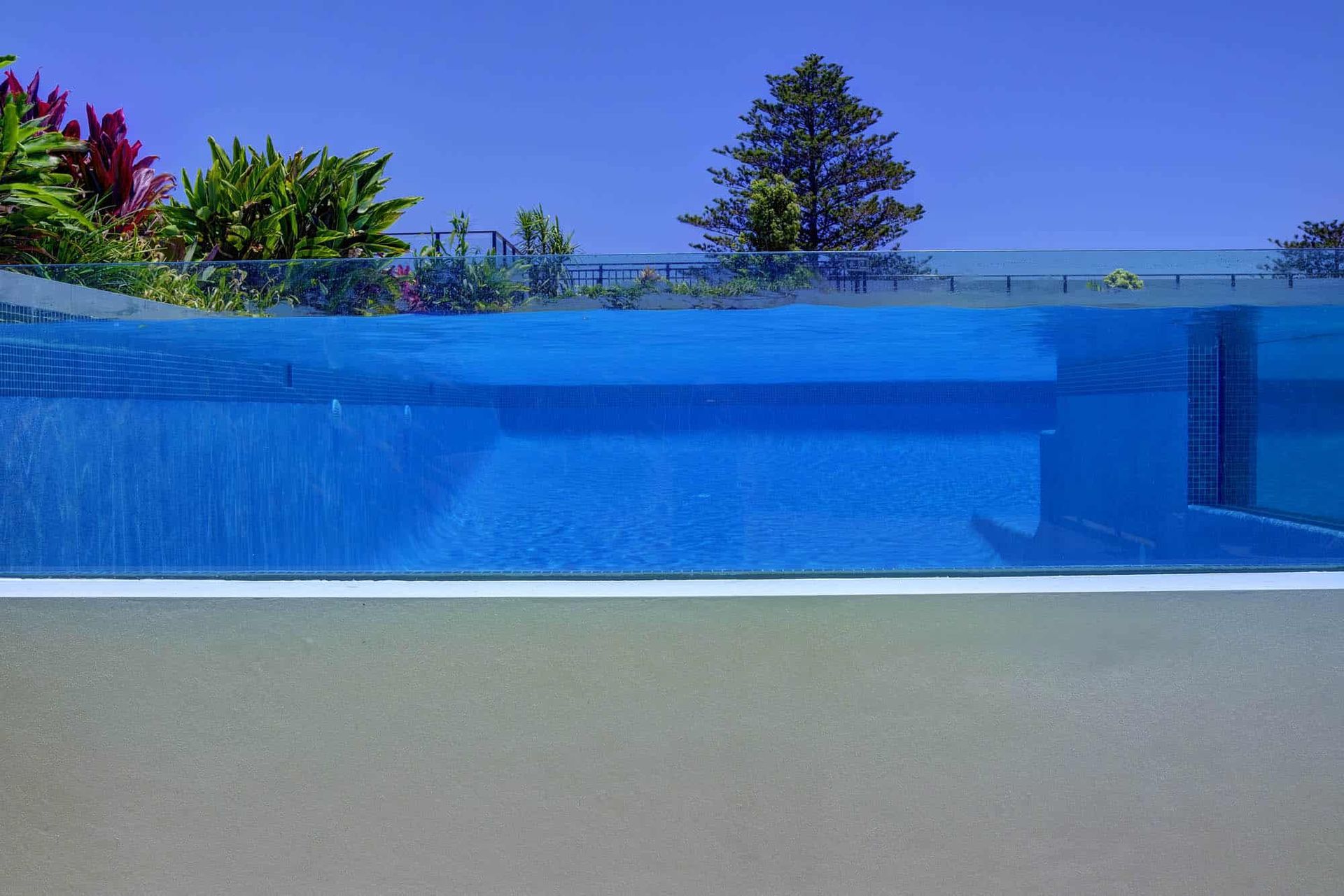 Swimming Pool With a Clear Glass Wall — Glass Pool Windows Australia In Palm Beach, NSW