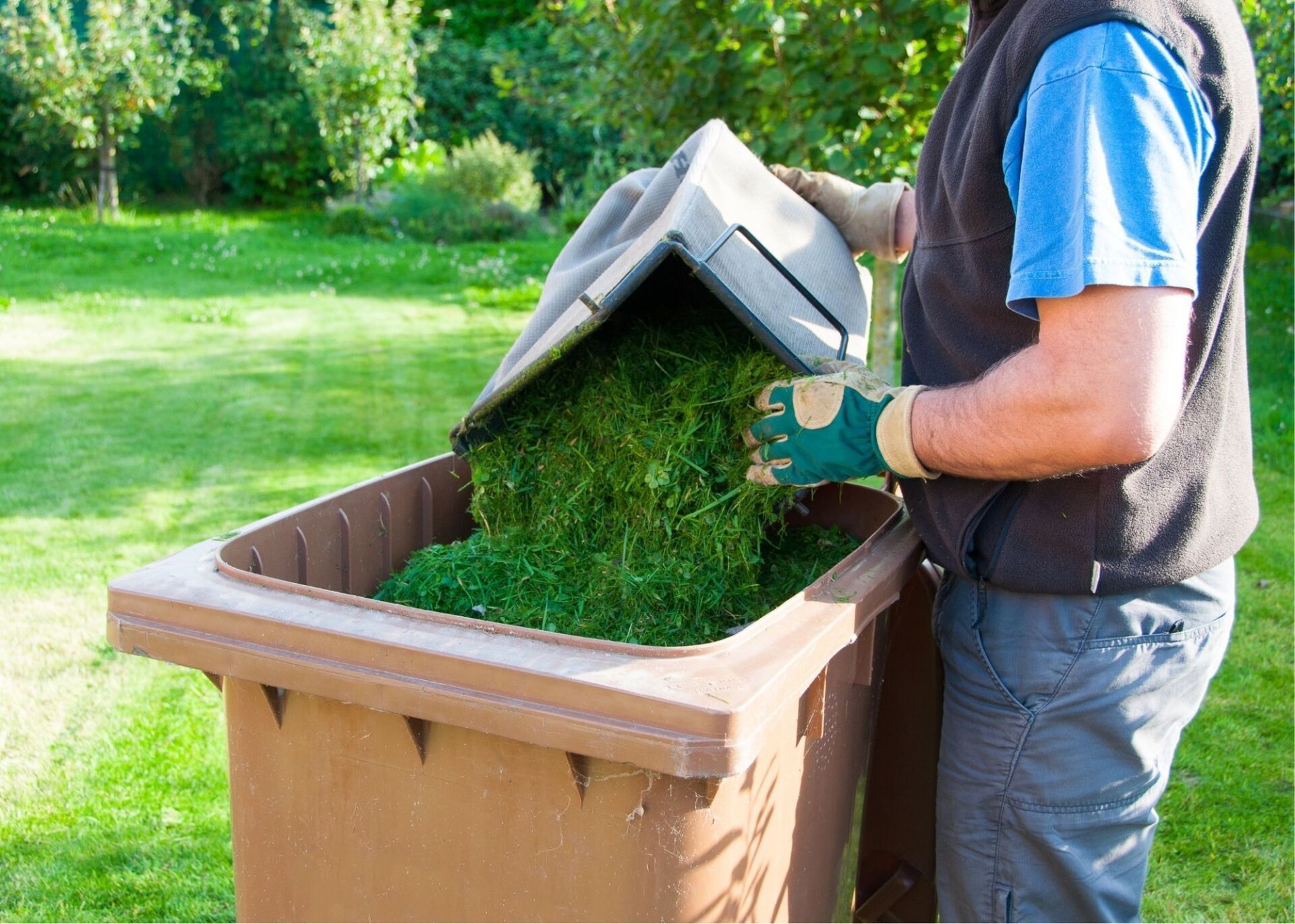Maple Ridge Landscaping Yard Maintenance
