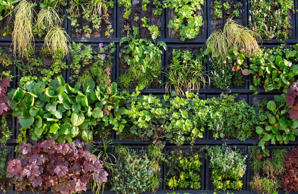 Las Rosas Parquizaciones