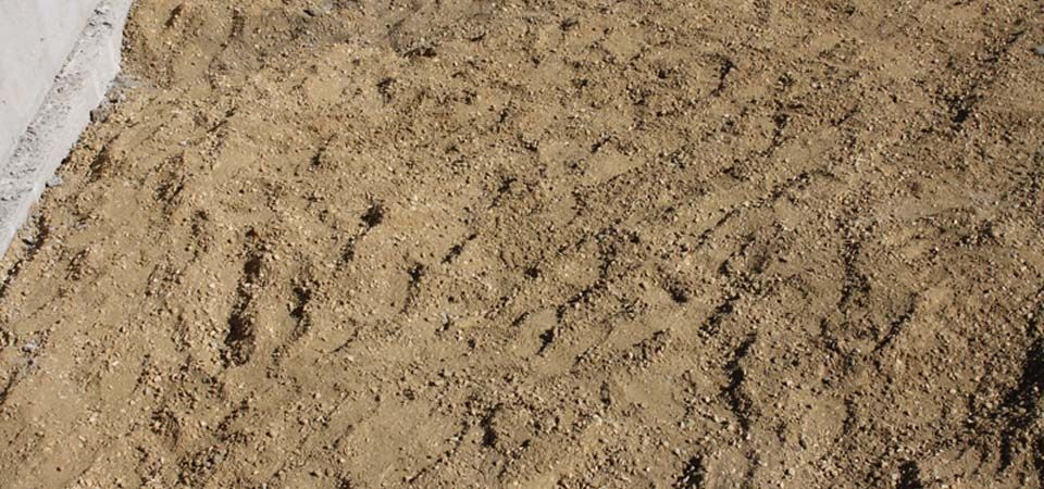 closeup of dirt